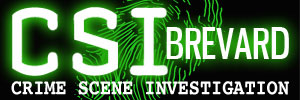 Brevard Crime