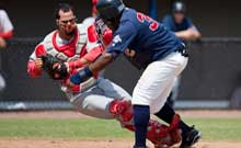 Brevard County Manatees