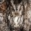 NATIONAL-GEOGRAPHIC-180