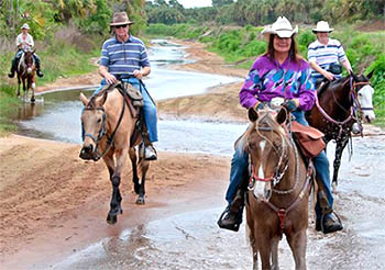 Inspired by the Florida Wildlife Corridor Expedition that completed in April 2012, the Brevard Wildlife Corridor Expedition will feature the active involvement of many expert guides, residents and visitors. (Expedition Brevard image)