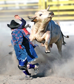 Rodeo Clowns will entertain at the fair. (Image for SpaceCoastDaily.com)