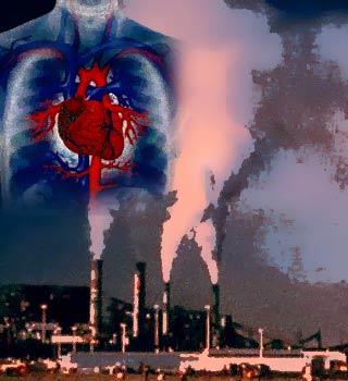 Image result for images of heart pollution