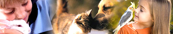 Brevard County Animal Services & Enforcement has added a feature to its website so pet owners can purchase new or renew existing licenses for their pets via the internet.