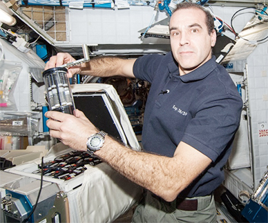 Astronaut Rick Mastracchio works on the Antibiotic Effectiveness in Space-1 (AES-1) investigation during Expedition 38 aboard the International Space Station. (NASA.gov image)