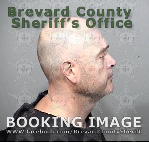 Arrests In Brevard County January Suspects Presumed Innocent