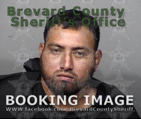 Arrests In Brevard County January 8 2021 Suspects Presumed Innocent