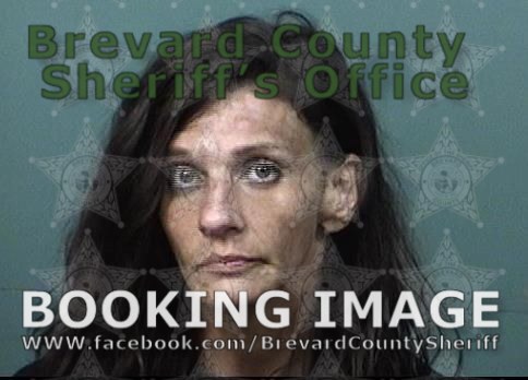 Arrests In Brevard County July Suspects Presumed Innocent