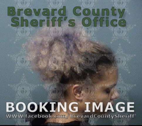 Arrests In Brevard County July Suspects Presumed Innocent