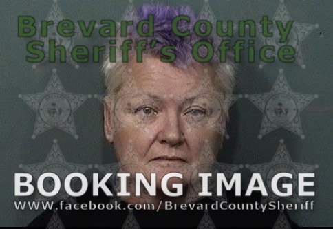 Arrests In Brevard County August 25 2023 Suspects Presumed Innocent