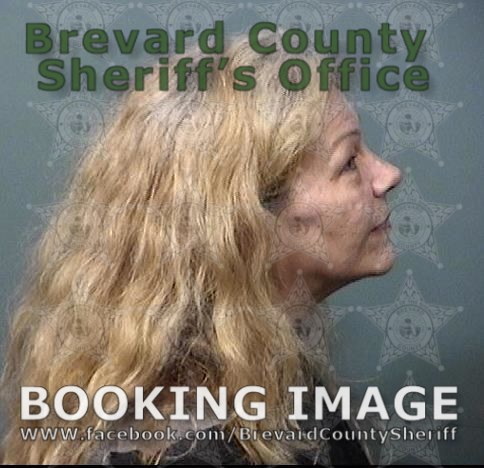 Arrests In Brevard County November Suspects Presumed