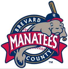 brevard County Manatees