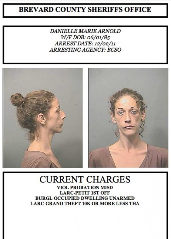 Mugshot Archives Space Coast Daily