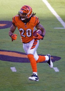 Reggie Nelson played for the Palm Bay Pirates before he went on to play for the Florida Gators and the NFL's Bengals (Gettty Image)