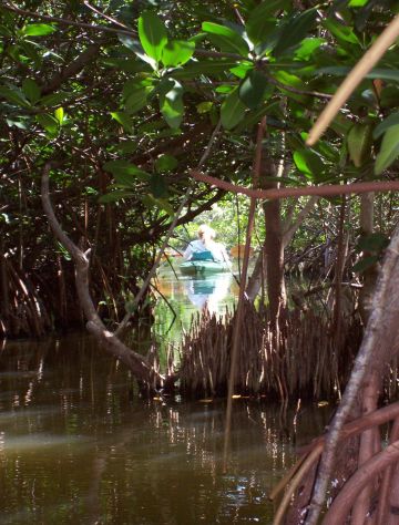 PADDLERS EXIT 1