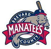 MANATEESLOGO-180