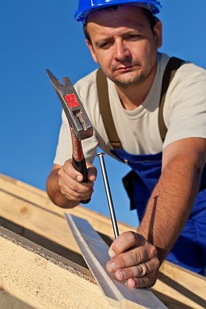ROOFER-300
