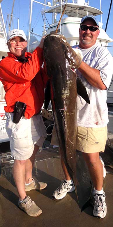 Sight Fishing For Cobia Yields Whopper Off Port - Space Coast Daily