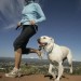 Running With Your ‘Best Friend’ – Keep Your Canine Running Partner Safe, Happy