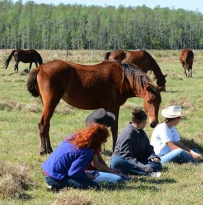 An Eye of a Horse program counselor conducts a typical nature exposure therapy session.