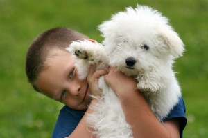 happy boy with dog "rescue me"