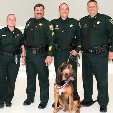 K-9 Montana with Sheriff Wayne Ivey, right. Montana was handled by Corporal Chris Wood and Sergeant Brock Maggie, and has served the agency and the citizens of Brevard County with absolute faithfulness.  K9 Montana has answered calls for missing children, missing persons, criminals that have fled from the scene, and also to assist with other investigations.