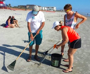 Do your part for nesting and hatchling sea turtles by keeping our beaches and ocean clean of marine debris. Record information about the trash you collect to help researchers better understand the global issue of marine debris. (Image For SpaceCoastDaily.com))