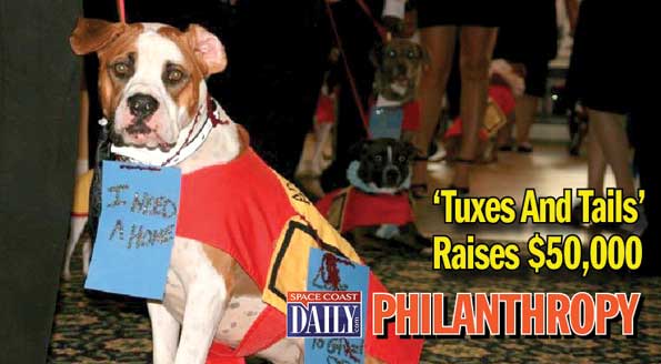 TUXES AND TAILS: The $50,000 raised for the  Central Brevard Humane Society will help soundproof the kennels and improve the shelter accommodations for all the animals. (SpaceCoastDaily.com image)