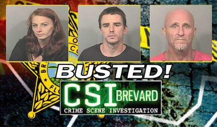 Brevard County Sheriff's Office arrested 31-year-old Laura Louise Pugh, 48-year-old Dennis Lewis Rimmer and 28-year-old Jarrod Robert Carr for robbery. (BCSO images)