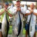 CAPT. JOE PALERMO: Offshore Fishing Trip To ‘Other Side’ Yields Yellowfin Bonanza