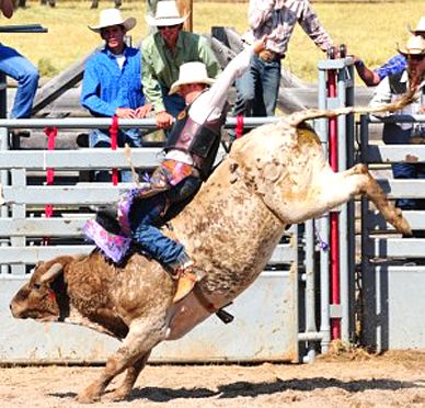 Pro Bull Riding will buck into Brevard as the Palm Bay Fair offers three free shows during it's final weekend at the fairgrounds located on the grounds of Space Coast Harley-Davidson in Palm Bay. (Image for SpaceCoastDaily.com)