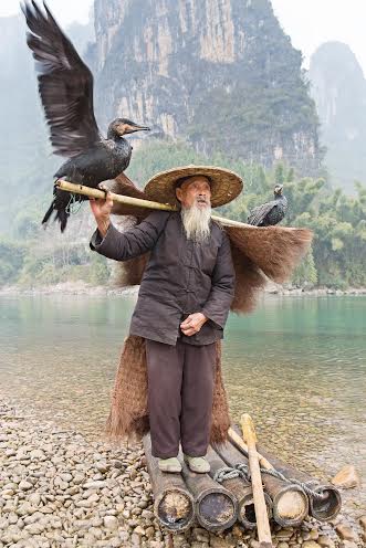 A cormorant fisherman in Guilin, China, posing with his birds. (Efram Goldberg Image)