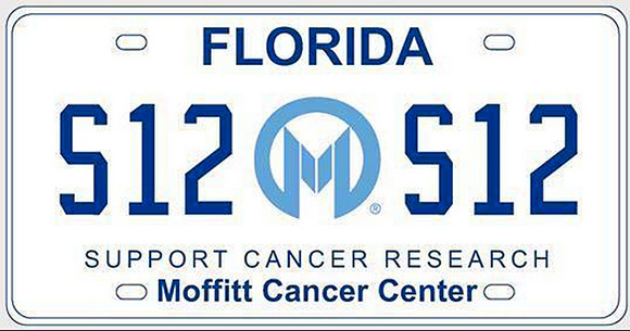 The latest tags come despite a "moratorium" lawmakers imposed on new license plates in 2008. The moratorium was set to expire this year, but lawmakers extended it through mid-2016.