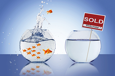 If your home is lingering on the market without any offers, there could be a few reasons why. As RE/MAX explains in the video, condition, price and location are the three key factors buyers are looking for in a potential property. Find out what you can do differently to ensure your home is fit to sell.