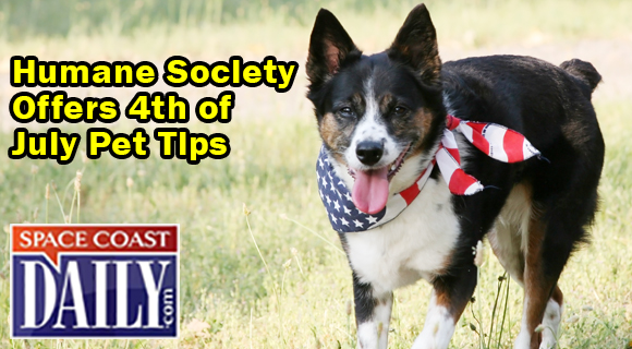  The Central Brevard Humane Society would like to remind Brevard County pet owners to take extra care during the July 4th holiday.