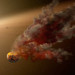 NASA’s Spitzer Telescope Witnesses Asteroid Smashup