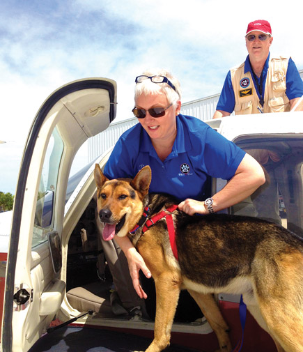 ABOVE: Rocky, with Pat Picornell, was due to be euthanized in Georgia, but saved at the last minute. (Image for SpaceCoastDaily.com)