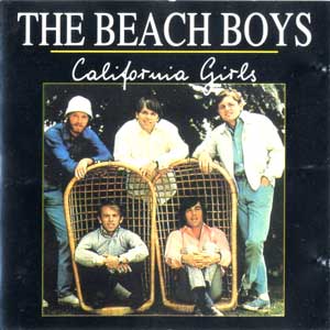 BEACH-BOYS-300-3