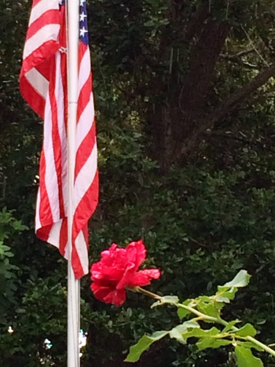 Photo submitted by Susan Blake, who wrote: "I took this today while remembering the families who suffered the greatest heartache for the past 13 years. The 9-11 victims as well as the military families who paid the ultimate price as well. May we never forget."