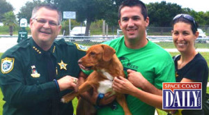 One of the first dogs adopted today was actually adopted by one of our own agency members, Corrections Deputy Jeremy Mullin and his girlfriend Stacie who adopted Lenny from our Brevard County Sheriff's Office Animal Services South Facility. As you can tell from the photo, Lenny is ready to go home with his new family. (BCSO image)