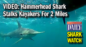 A huge 13-foot hammerhead shark stalked two kayakers for two miles off the coast of Palm Beach, Florida. (YouTube video image)