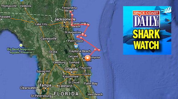 Great white shark, nearly 14 feet long, pings off St. Augustine coast