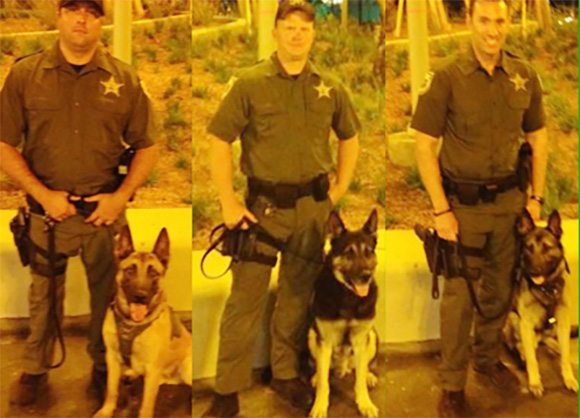 Please join me in congratulating Deputy Richard Nelson with K-9 Partner Thor, Deputy John Decossaux with K-9 Partner Rikki, and Deputy Scott Stewart with K-9 Partner Koi for successfully completing 480 hours of advanced training and certification in obedience, apprehension, and building searches. (BCSO image)