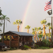 Old Florida Grill Oyster House