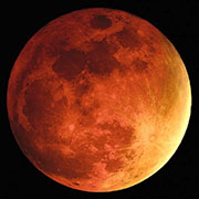 LIVE: Blood Moon Lunar Eclipse Begins At 6:16 a.m. Today - Space Coast ...