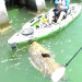 VIDEO: Largest Fish Caught On A Kayak In Florida, Weighs Nearly 552 Pounds