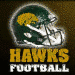 VIDEO: Viera Hawks Hopes Are High For Big 2015 Football Season