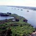 Sen. Thad Altman Committed To Protecting, Preserving Indian River Lagoon