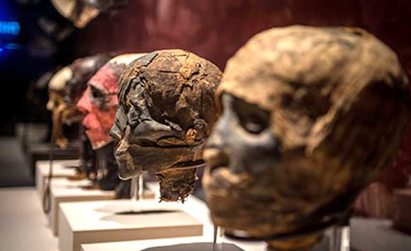 June 30 is the last day to embark on a journey into the extraordinary world of mummies and mummification at the Orlando Science Center. (Orlando Science Center image)