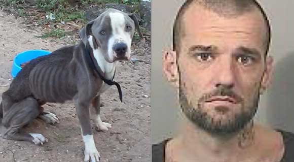 The Brevard County Sheriff’s Office is currently looking to arrest 39-year-old Joseph Raymond Frederick for Cruelty To Animals and Animal Abandonment. (BCSO images)