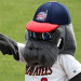 Brevard County Manatees Moving To Osceola County Next Year, Spent Over 20 Years On the Space Coast